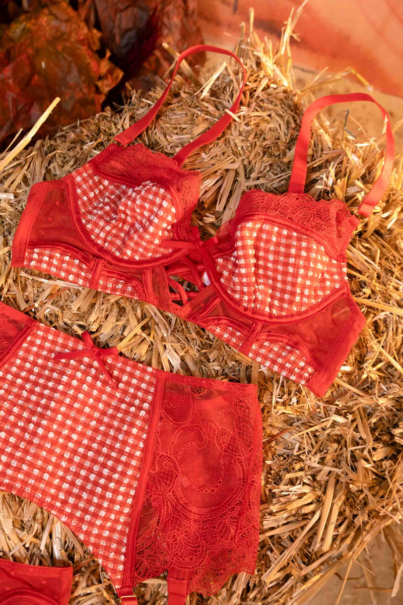 Red gingham and lace bra with tie around neck, with matching thong and suspender