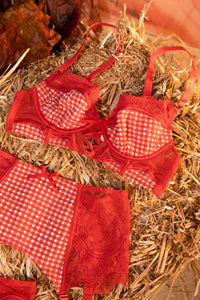 Red gingham and lace suspender belt with 4 straps, with matching bra and thong.