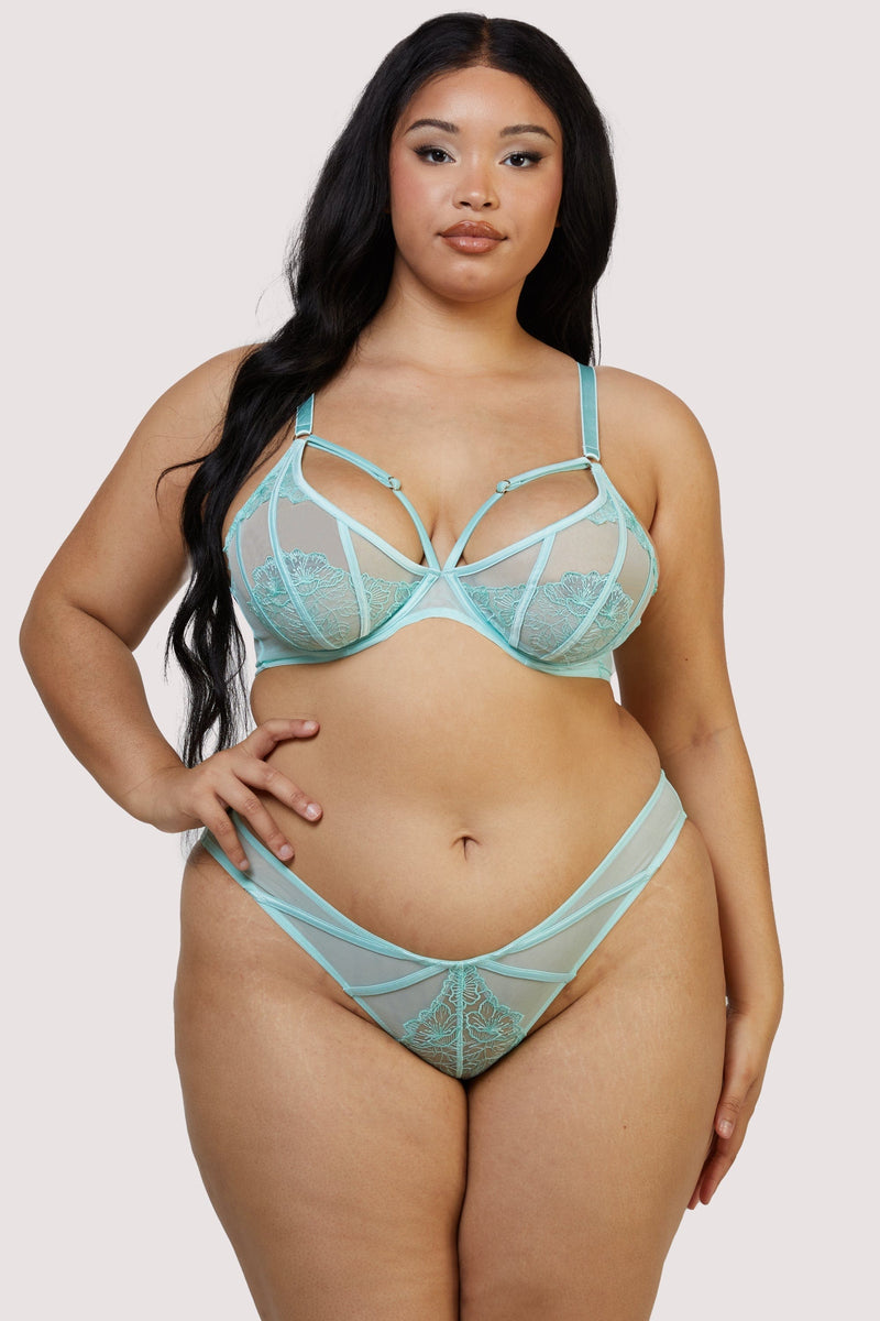 Valerie Aqua Embroidery & Mesh Brief