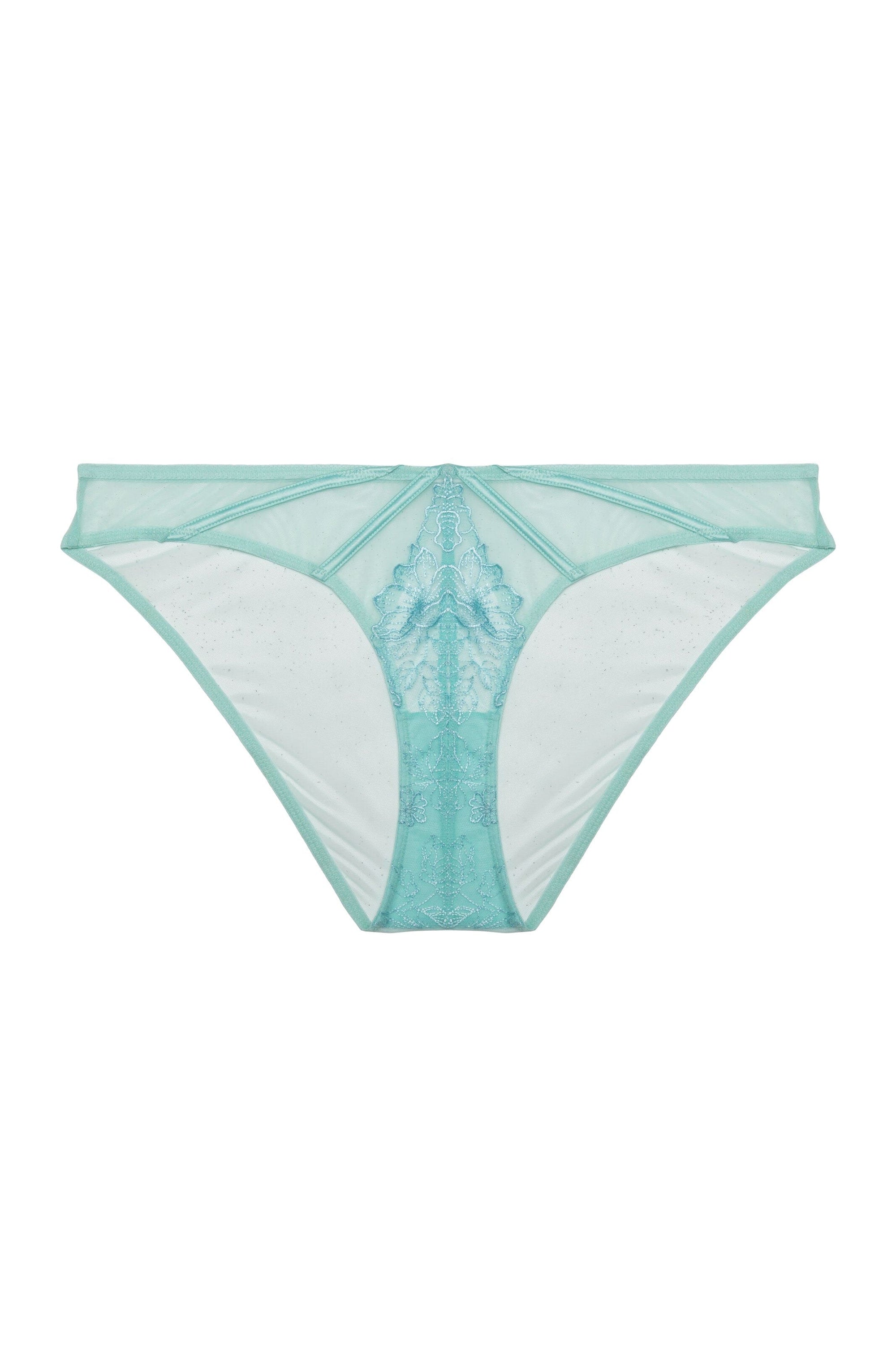 Valerie Aqua Embroidery & Mesh Brief