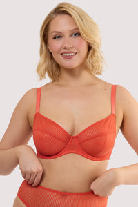 Model wears a veronica red microstripe plunge bra with red microstripe stretch mesh and underwired plunge cups.