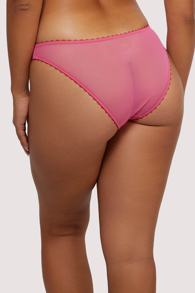 Grace Pink Supportive Net Lingerie Set