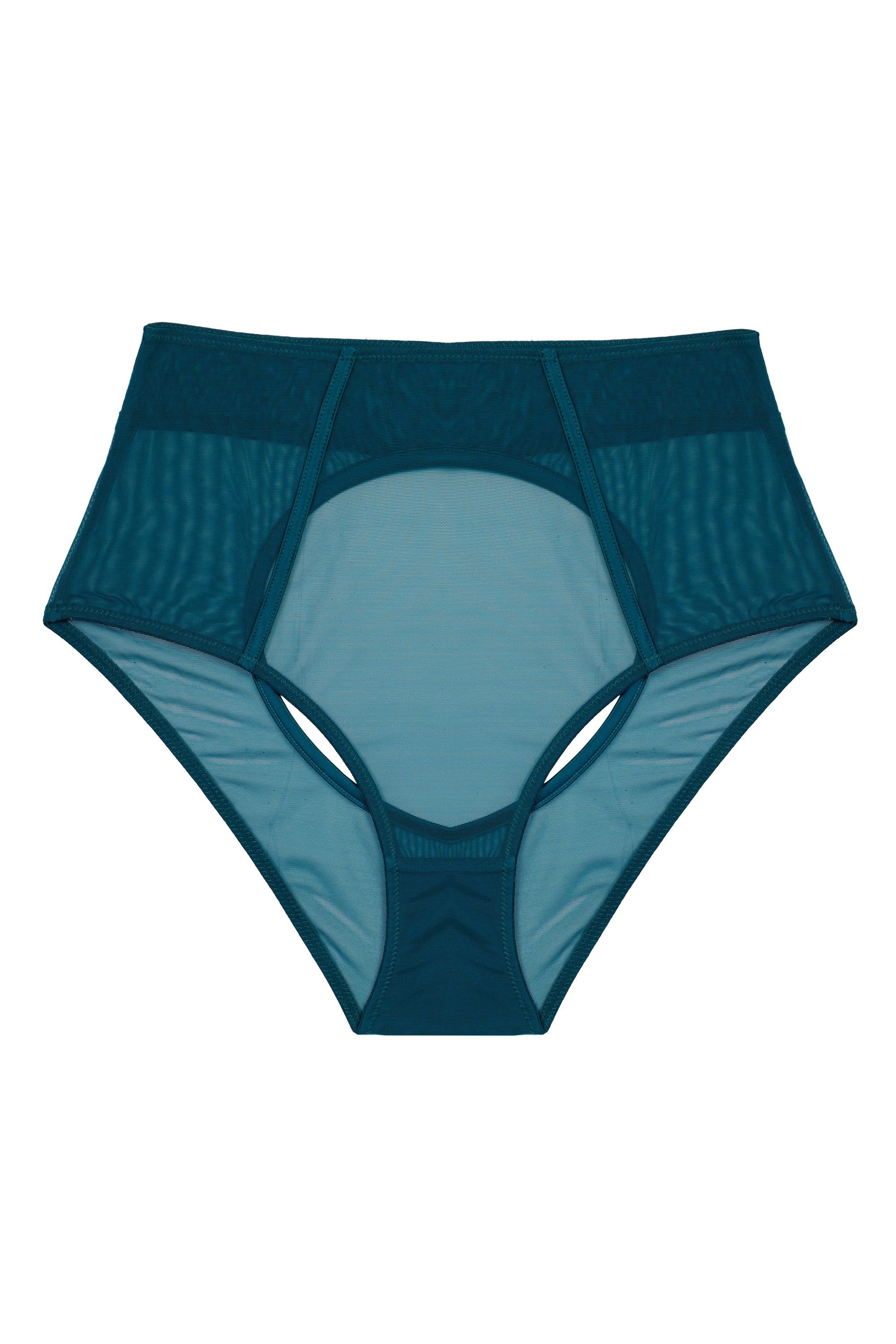 x PP Firenza Open Back Teal Brief