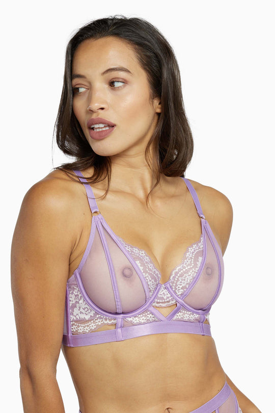 Fenella Lace and Net Longline Bra