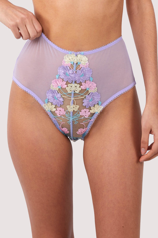 Luna Pastel Embroidered High Waisted Brief