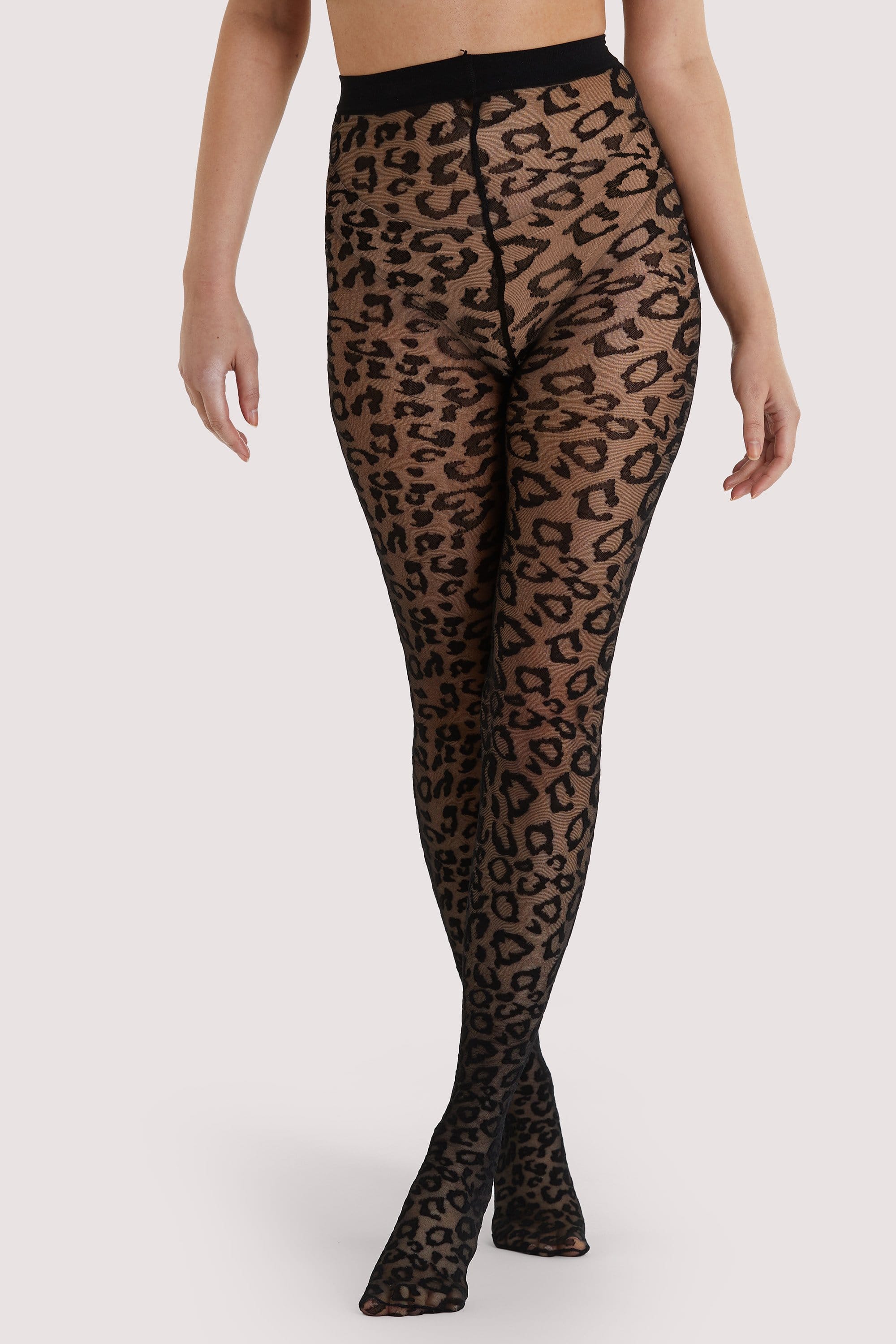 Leopard Knit Tights - Black US 4 - 18