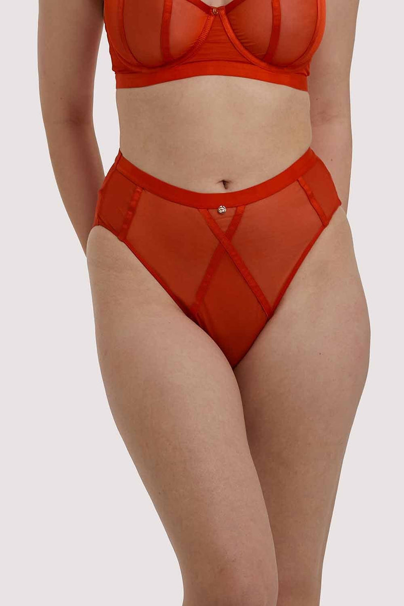 Sheer Chic Brief Flame Red – Playful Promises USA