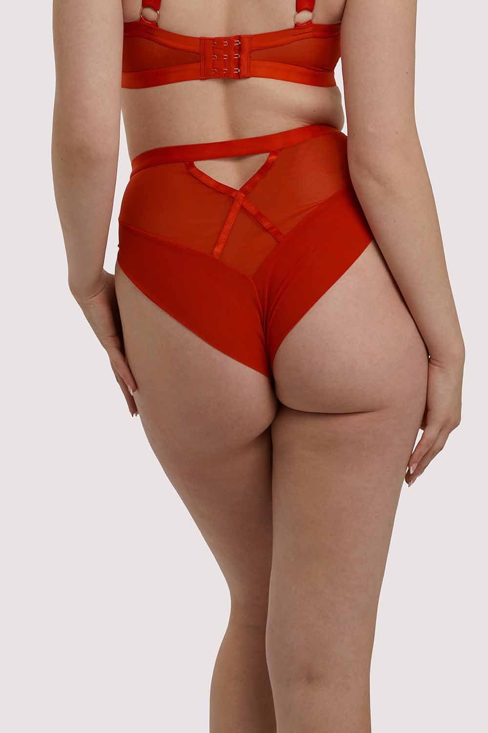 Sheer Chic Brief Flame Red