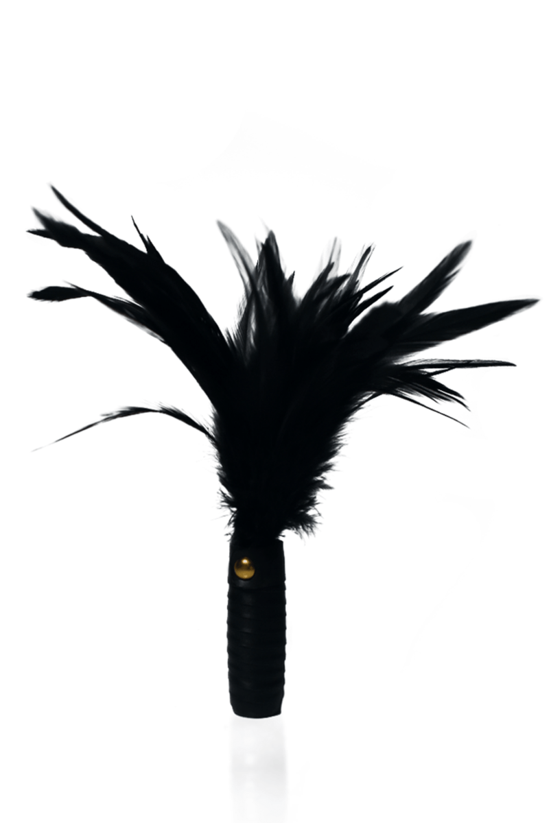 Black Leather Feather Tickler