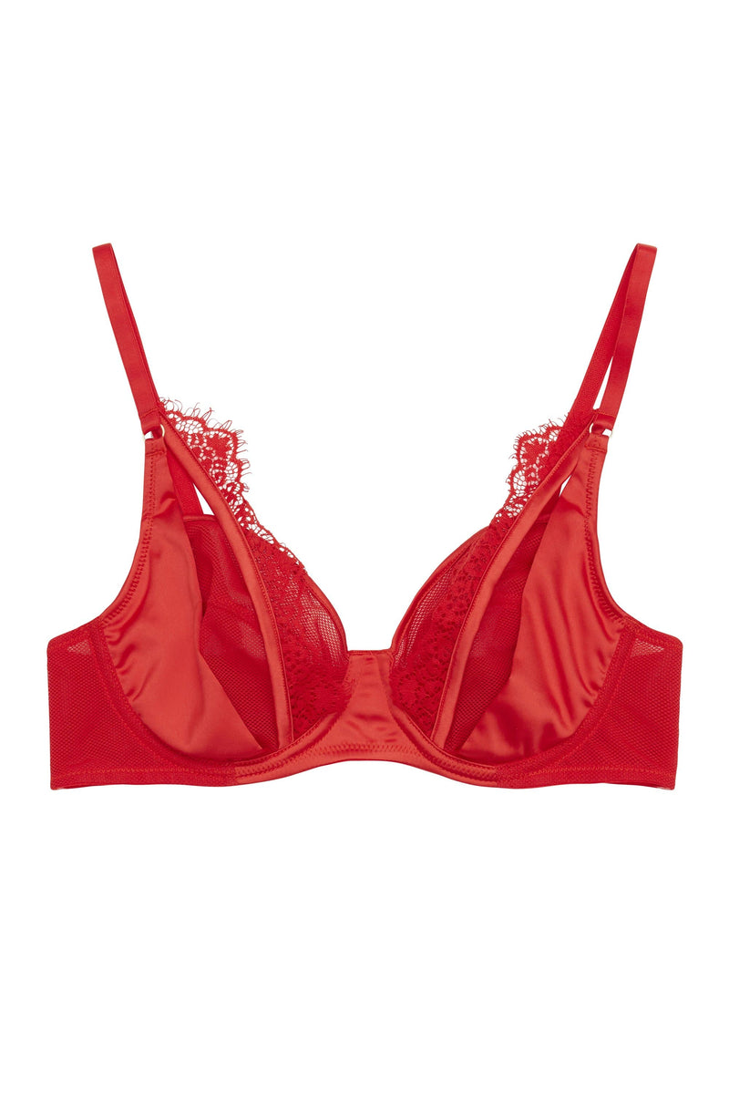 Zoya Curve Fishnet and Lace Plunge Bra