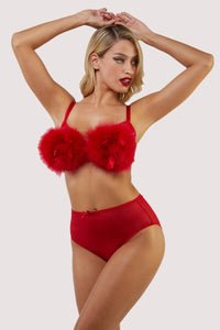 Elizabeth Red Plunge Feather Bra