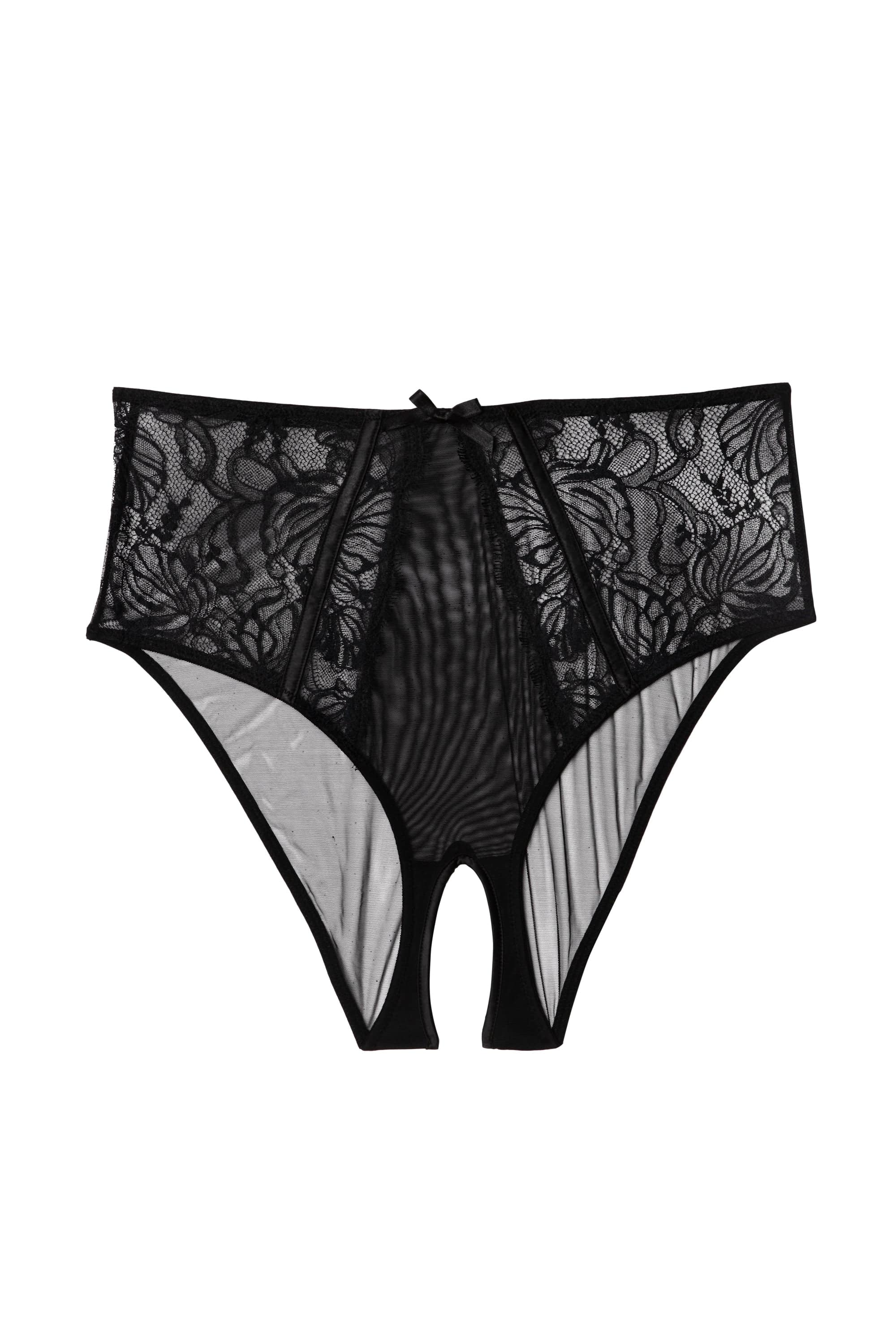 Fallon Black Lace and Mesh High Waisted Crotchless Brief Playful Promises USA Fallon Black Lace and Mesh High Waisted Crotchless Brief Playful Promises USA