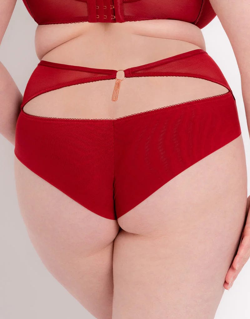 Scantilly Deep Red Unchained High Waist Brief – Playful Promises USA
