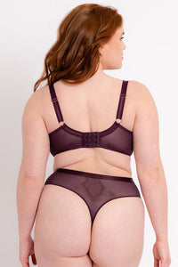 Scantilly Fig/Latte Lovers Knot Thong