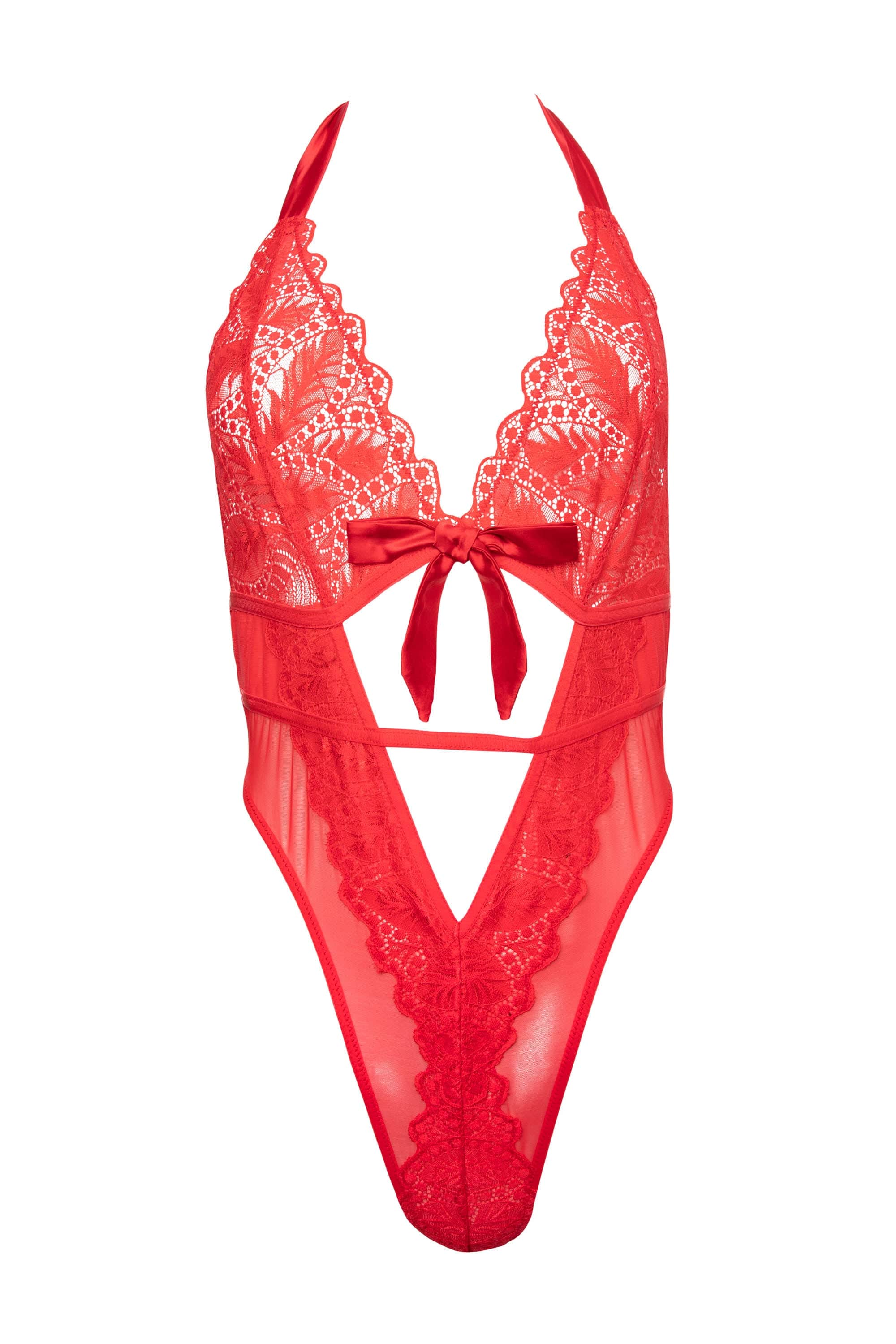 Dee Red Eyelash Lace and Mesh Body