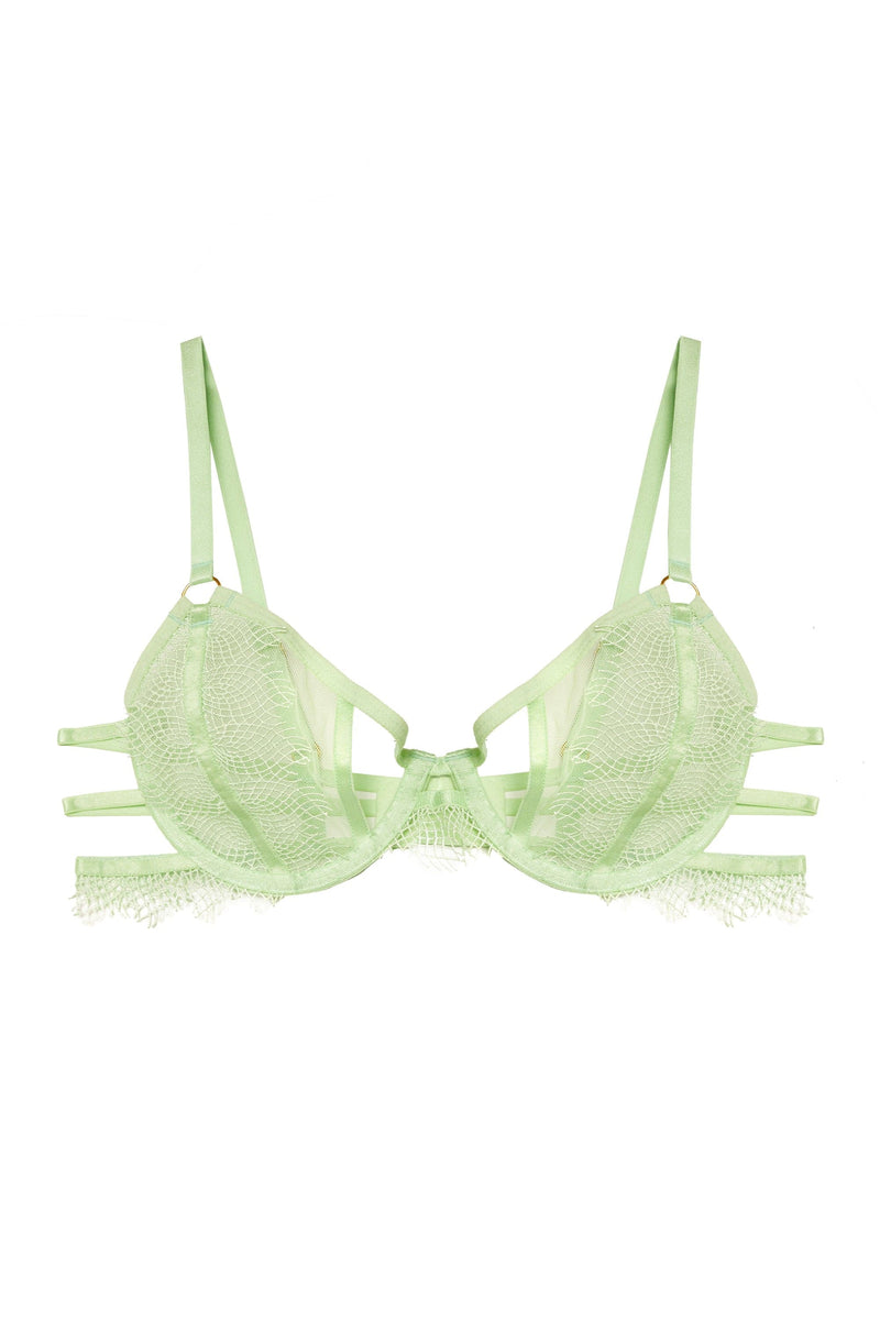 Boldline Olive Green Color Moulded Silver Piping With Zlace Bra